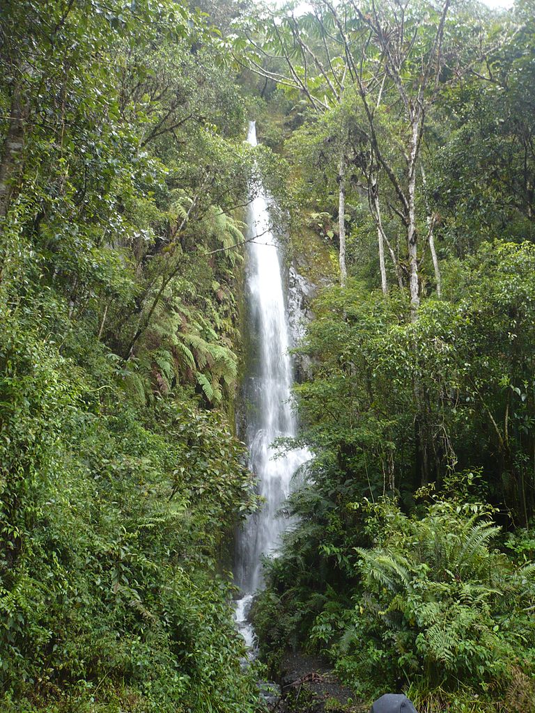 Pérou - Manú national park