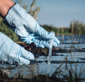 Assurer votre entreprise contre les dommages infligés à l’environnement par ses activités